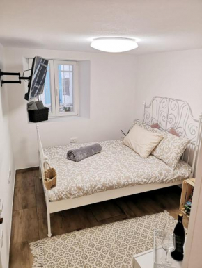 Pocket Apartment Dell' Acqua